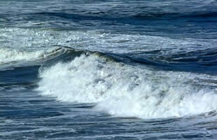 SUNTSE INTERNATIONAL - Consulting STIC - [Conseil en strat�gie]