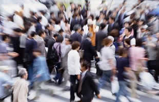 SUNTSE INTERNATIONAL - Consulting STIC - [Conseil en strat�gie]